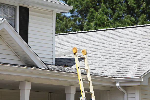 Siding for Multi-Family Homes in Forest View, IL